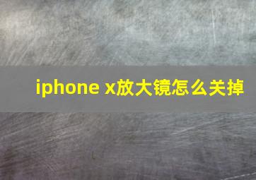 iphone x放大镜怎么关掉